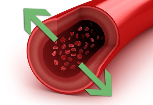 Sådan kan du bekæmpe blodtryk Livsstil