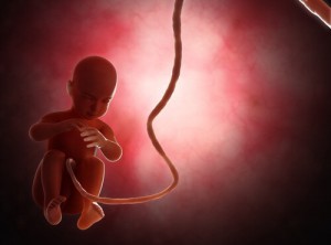 Klimaændringer kan påvirke antallet af drengebørn