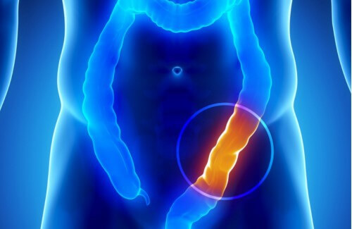 8 ting du bør vide om din tyktarm og dens helbred