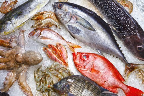 Fed fisk er en stor del af middelhavsdiæten