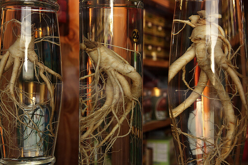 Ginseng rod i glas