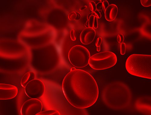 Røde blodceller.
