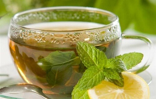 Te og infusioner - en essentiel guide