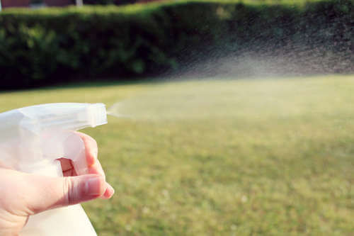 Citron kan også bruges til rengøring af hjemmet