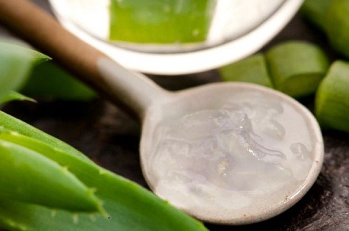 Aloe vera
