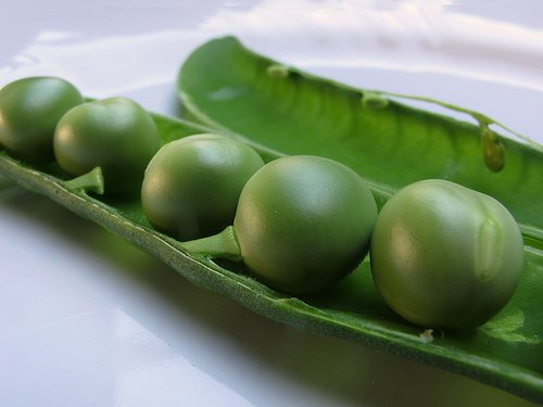 Peas-with-protein-and-fiber - klorofyl