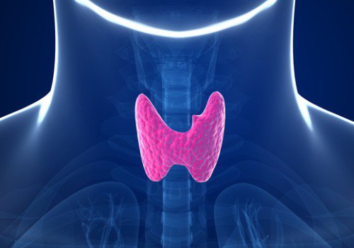 mandelsmælk kan have en negativ indvirkning på ens skjoldbruskkirtler.