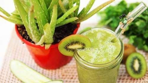 Kiwi smoothie