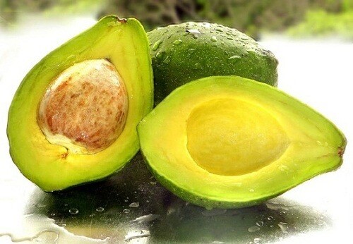 Avocadoer