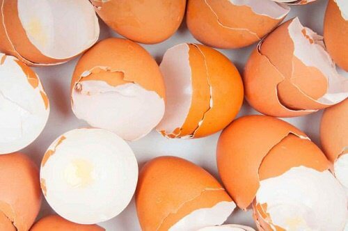 15+ overraskende måder du kan bruge æggeskaller på