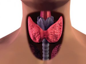 3 lette metoder til at håndtere hypothyroidisme