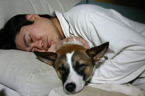Mand der sover med sin hund