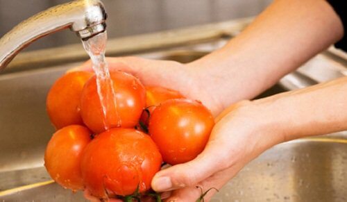 Tomater der bliver vasket