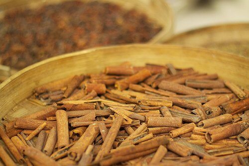 5-kanel-bark