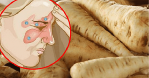 Bekæmp din bihulebetændelse på kun 5 dage