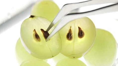 Vindruekerner