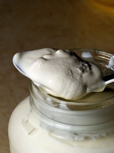 Youghurt