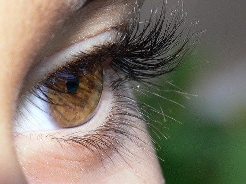 Kvinde med lange oejenvipper - faa dine oejne