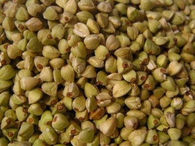 Boghvede