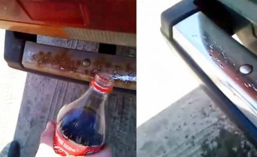 Person der bruger cola til at fjerne rust