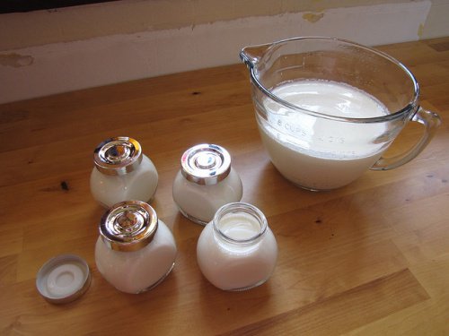 Skaale med yoghurt