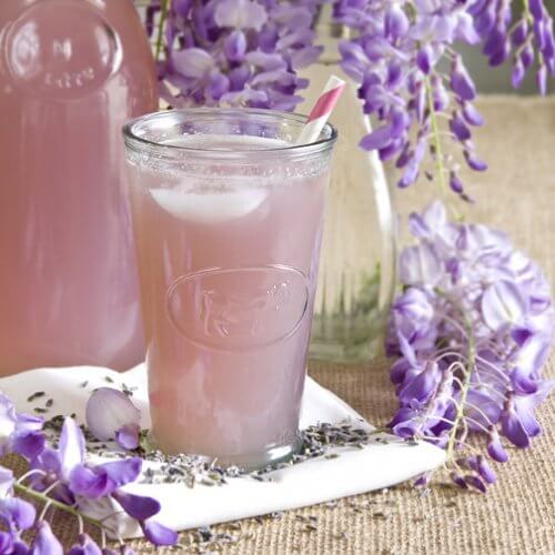 Lavendel er en god blomst at bruge i sine medicinske infusioner