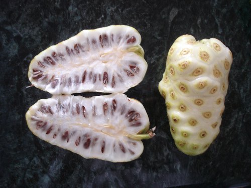 Nonifrugt