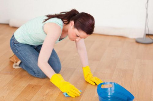 Kvinde der renser gulvet