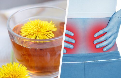 5 enkle måder at afgifte dine nyrer