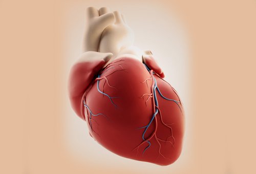 Hjertearytmi kan være meget ubehageligt og have nogle alvorlige konsekvenser