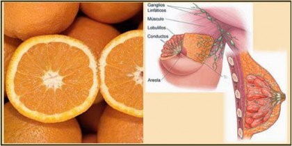AppelsinerMælkekirtler