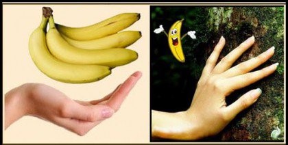 BananerHænder