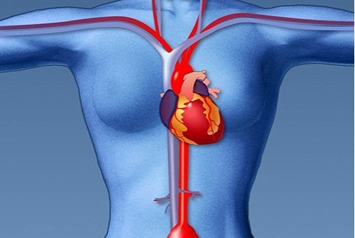 HjerteKarSystem