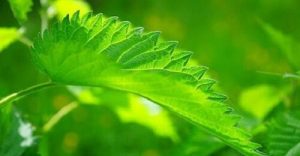 Sådan stopper du med at snorke