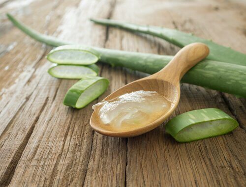 Aloe vera