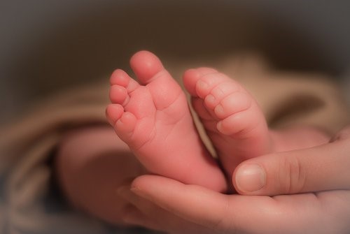 Babyfødder
