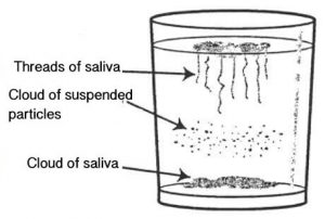 En hjemmetest for candida og hvordan man kan fjerne den