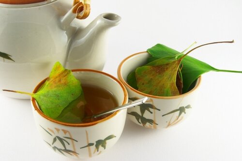 Gingko te