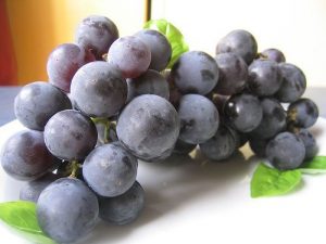 Vindruer: Naturlig medicin for dine nyrer