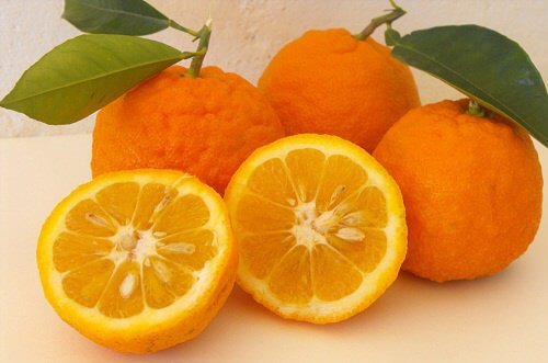 Appelsinkuren: Tab dig og bliv sundere