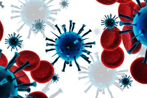 immunforsvar