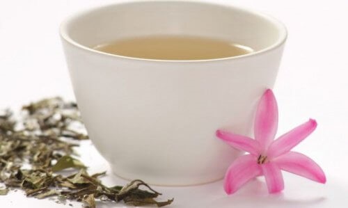 Hvid te indeholder gode flavonoider mod angst