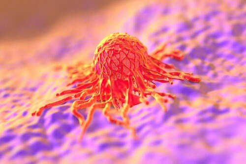 Hpv virus