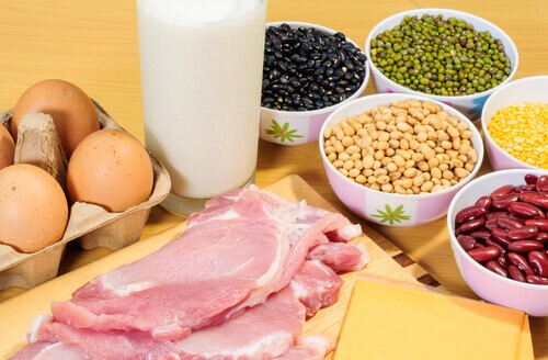 Proteinkost