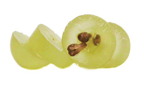 Vindrue der er skaaret ud