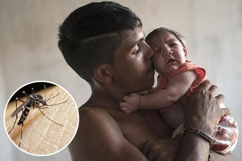 Advarsel! 10 ting du bør vide om Zika virus