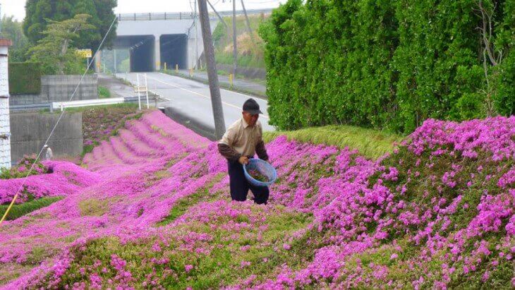 2-mand-blomsterhave