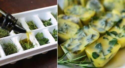 Frosnekrydderurter - madspild