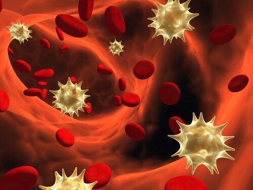 Immunforsvar2