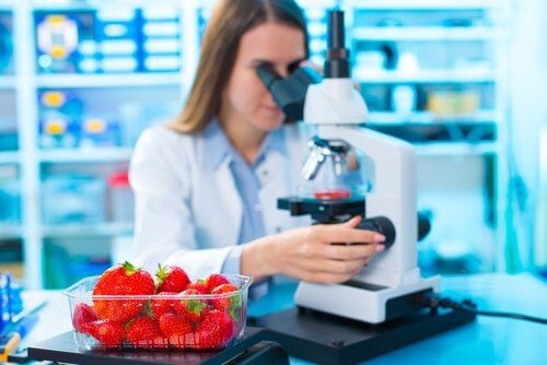 laboratorium